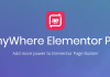 AnyWhere Elementor Pro 2.12.1 – WeaDown