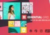 Essential Grid v2.3.3 – The #1 Selling Gallery WordPress Plugin