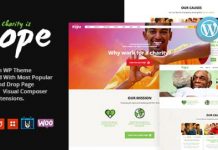 Hope v2.2.0 – Non-Profit, Charity & Donations WordPress Theme