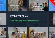Roneous v1.6.9 – Creative Multi-Purpose WordPress Theme