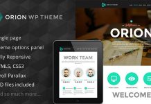 Themeforest – Orion – Responsive One Page WordPress Template