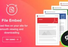 File Viewer v1.0 – A Premium WordPress File Embed plugin
