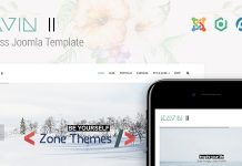 Kavin II – Business Joomla Template