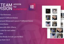 Teamvision for Elementor v1.0 – WordPress Plugin