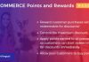 Download – WooCommerce Points and Rewards v1.1.0