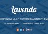 SNS Lavenda v1.1 – Responsive Magento Theme